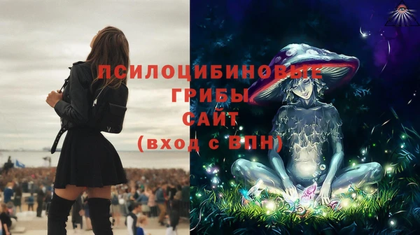 трава Алексин