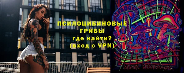 сатива Алзамай