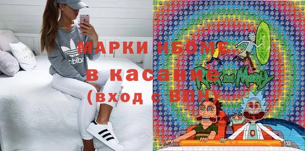 сатива Алзамай