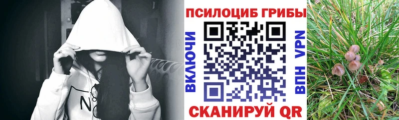 Псилоцибиновые грибы мицелий  Болхов 